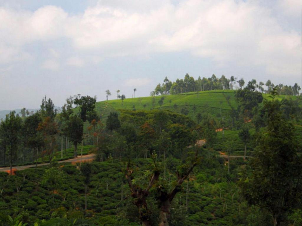 The Hideaway Hotel Ella Luaran gambar